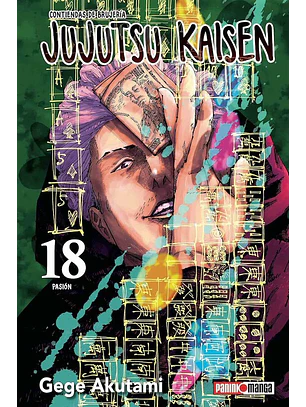 JUJUTSU KAISEN 18 - PANINI ARG
