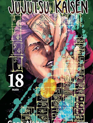 JUJUTSU KAISEN 18 - PANINI ARG