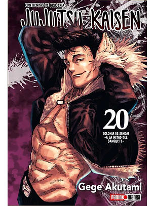 JUJUTSU KAISEN 20 - PANINI ARG