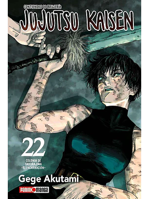 JUJUTSU KAISEN 22 - PANINI ARG
