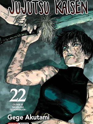 JUJUTSU KAISEN 22 - PANINI ARG