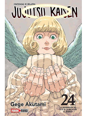 JUJUTSU KAISEN 24 - PANINI ARG