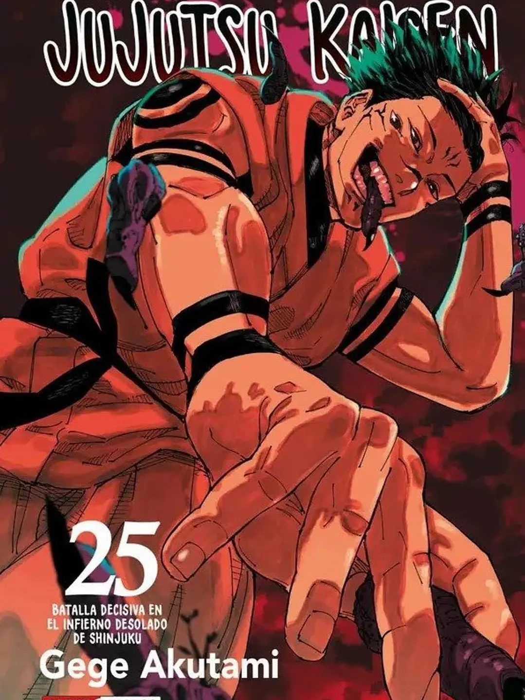 JUJUTSU KAISEN 25 - PANINI ARG 1