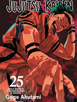 JUJUTSU KAISEN 25 - PANINI ARG