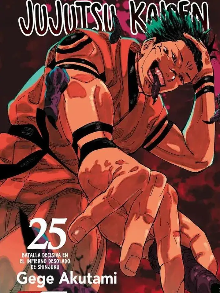 JUJUTSU KAISEN 25 - PANINI ARG 1