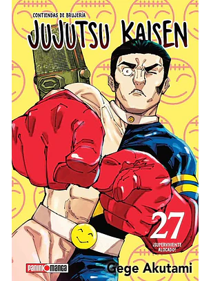 JUJUTSU KAISEN 27 - PANINI ARG