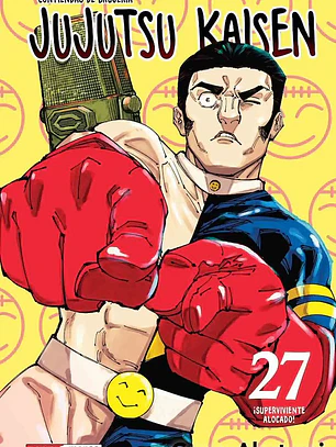 JUJUTSU KAISEN 27 - PANINI ARG