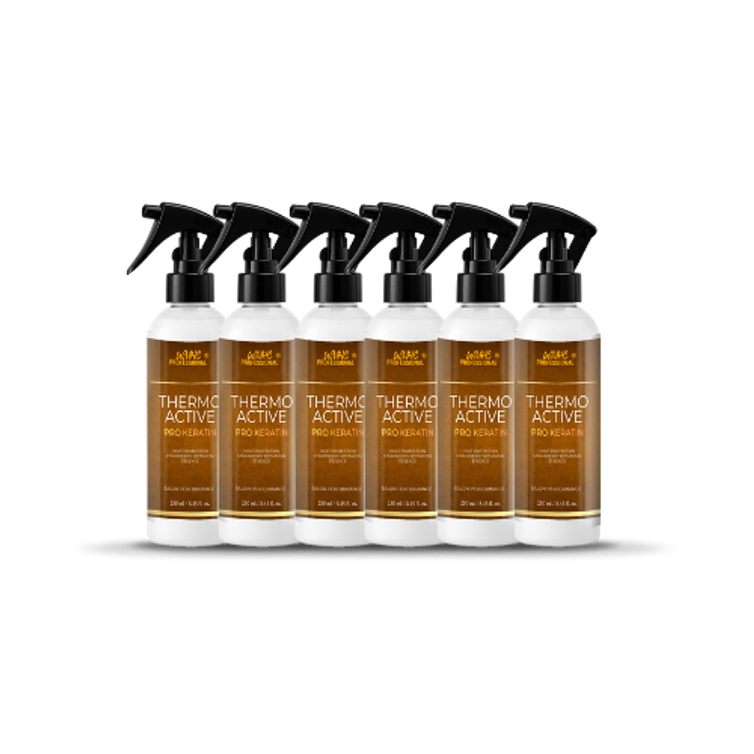 THERMO ACTIVE · PRO KERATIN X6 1