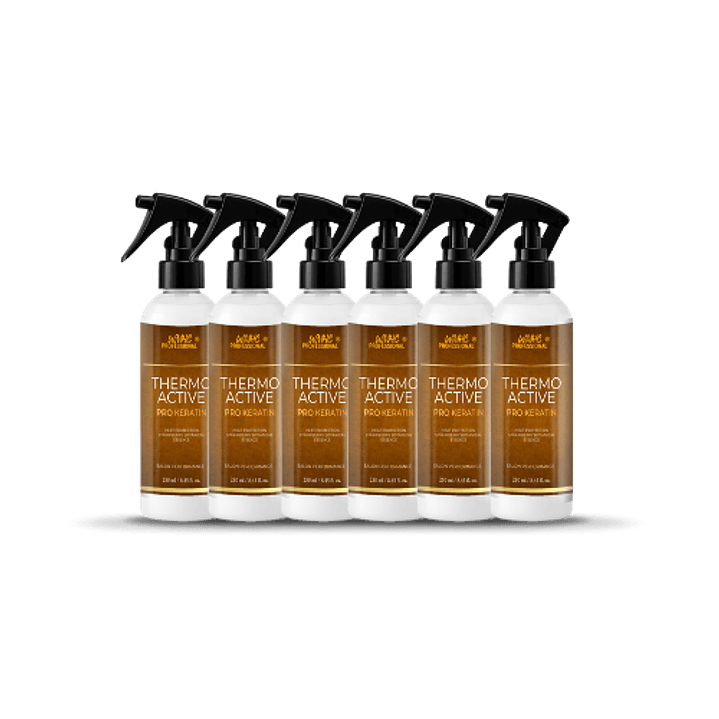 THERMO ACTIVE · PRO KERATIN X6 1
