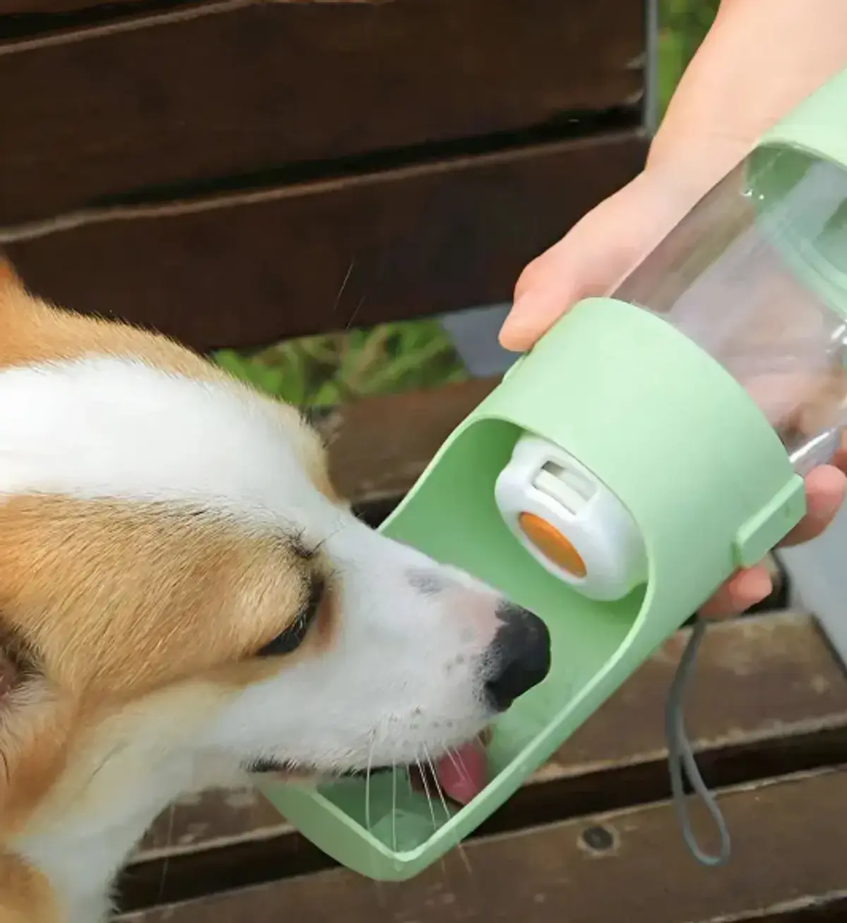 Botella Dispensador De Agua y Comida