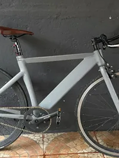 Bicicleta Fixie