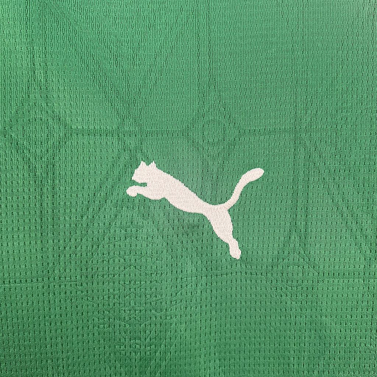 Camisa Feminina Palmeiras 2025/26 Home - Versão Adepto - S ao 2XL 7