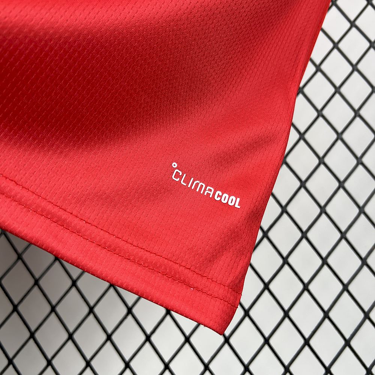 Camisola Wales 2026 World Cup Home Jersey - Versão Adepto - S ao 4XL  8