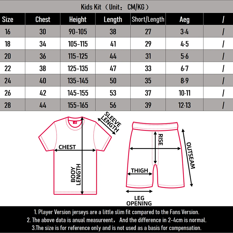 Kit Infantil Equipamento FC Porto 2025/26 | Edição Especial 15 Anos Dublin 2011 8