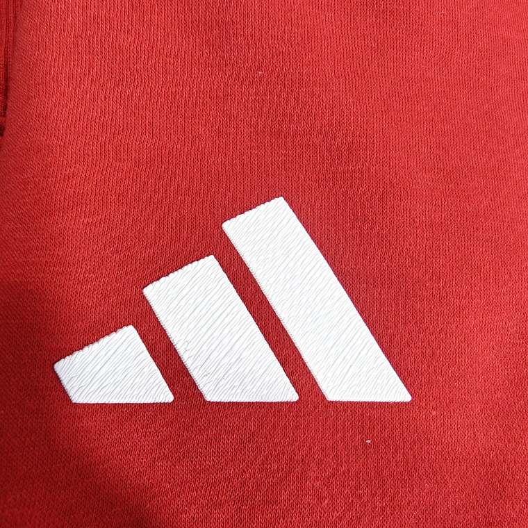 Benfica Hoodie: A Sweatshirt que Veste a Glória do Sport Lisboa e Benfica 9