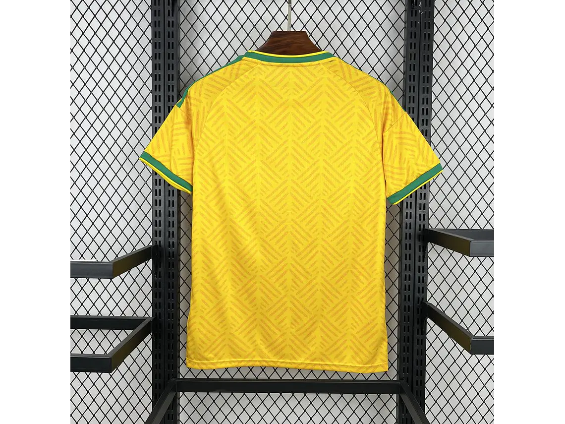 Camisola África do Sul 2026 World Cup Home S a 4XL 2