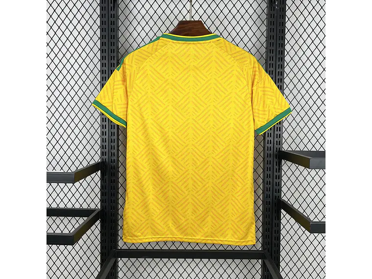 Camisola África do Sul 2026 World Cup Home S a 4XL 2
