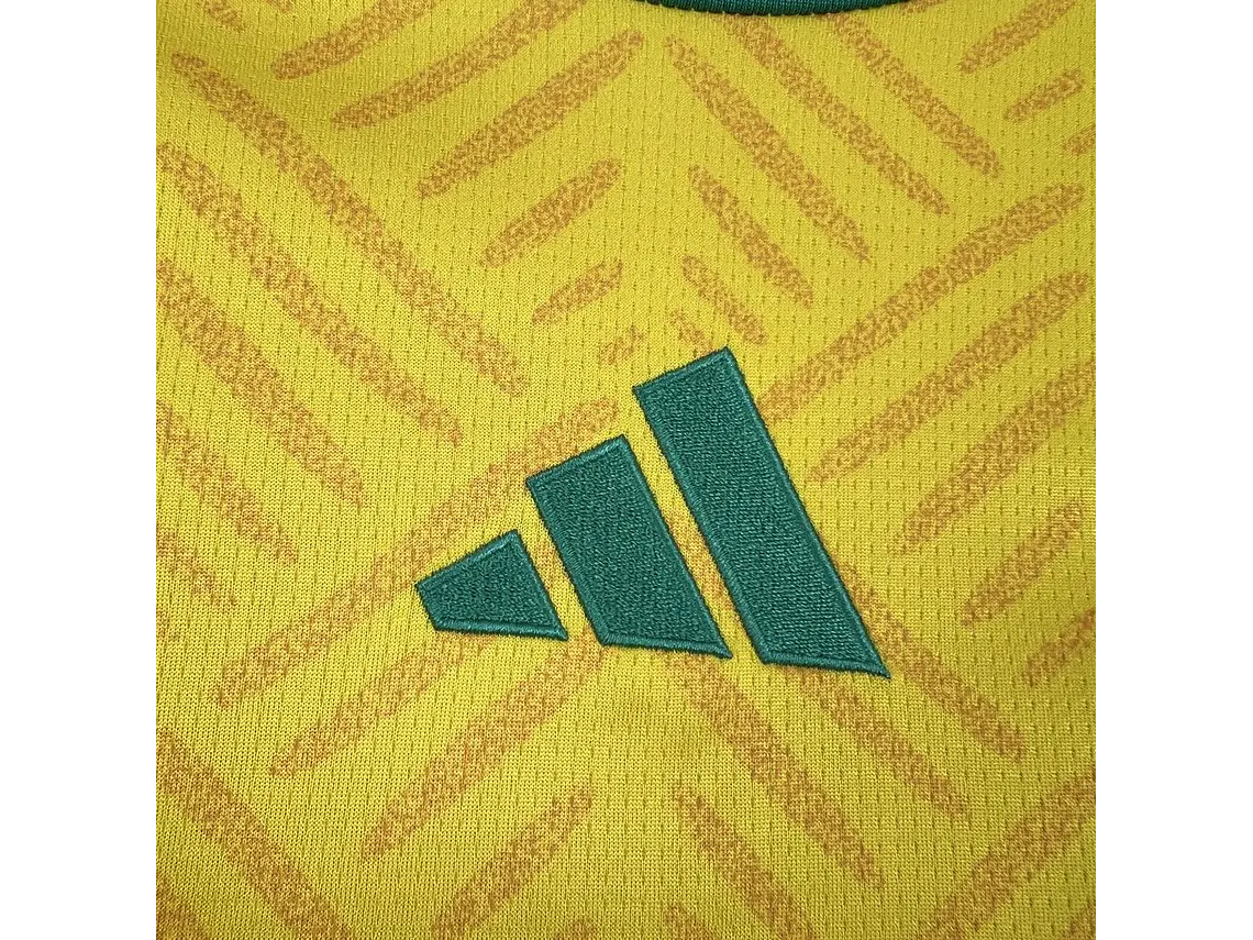 Camisola África do Sul 2026 World Cup Home S a 4XL 8