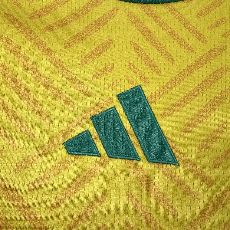 Camisola África do Sul 2026 World Cup Home S a 4XL 8