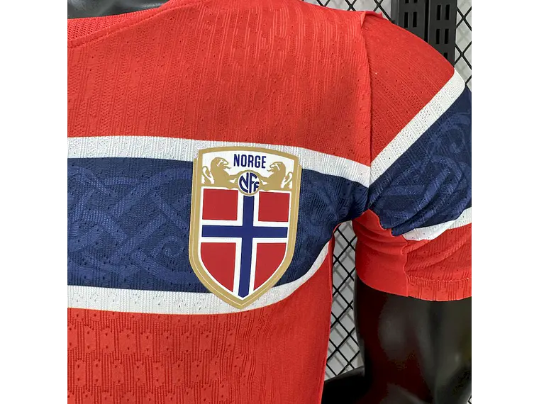 Norway 2026 World Cup Home Player Jersey, Sizes S to 2XL 5