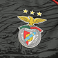 Benfica 2025/26 Jersey Special Edition Eagle Print - Size S in 4XL - thumbnail 8