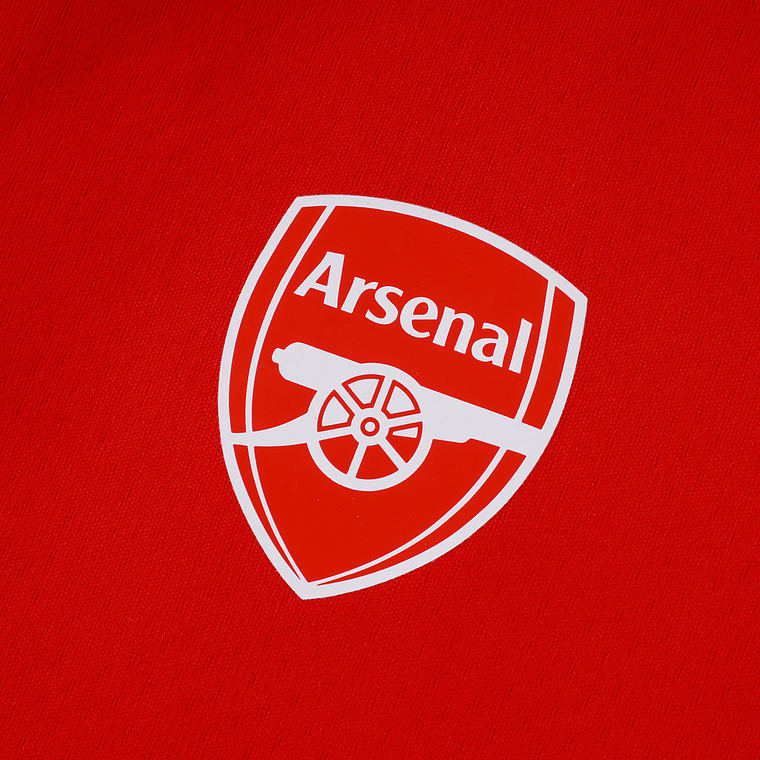 Arsenal 25/26 Tracksuit with Hood, Sizes S to 2XL 29