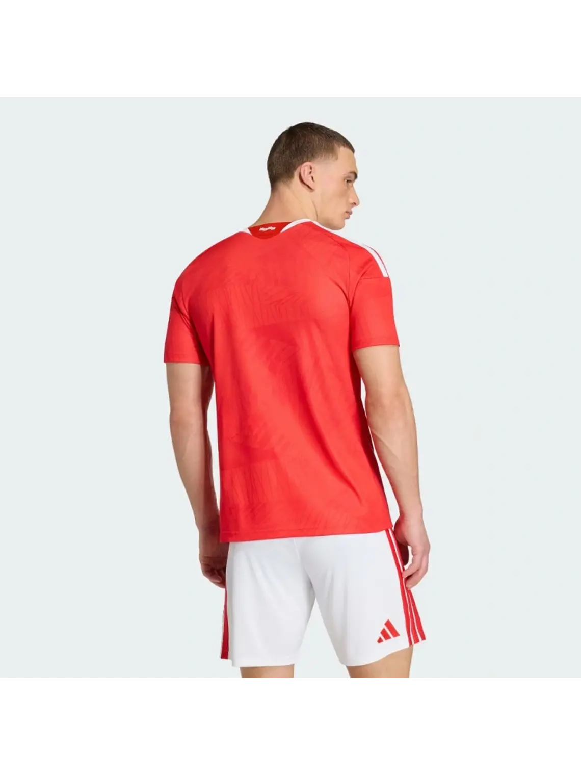 Uniforme Titular do Benfica 26/27 - Camisa e Calção - S ao 2XL 2
