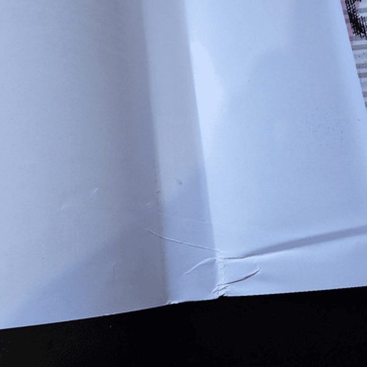 Jigokuraku 6 Con Detalle - Norma Editorial 2