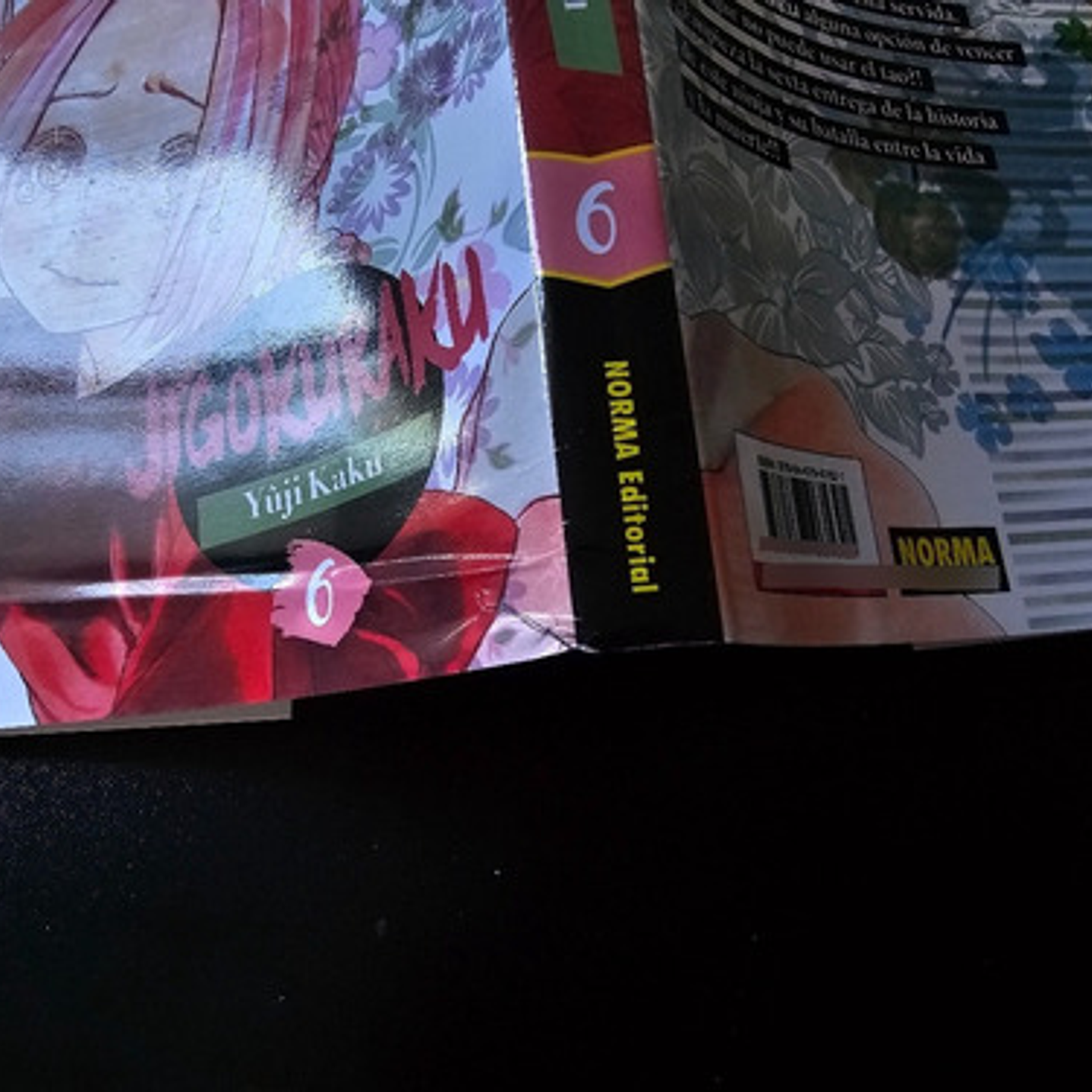 Jigokuraku 6 Con Detalle - Norma Editorial 5