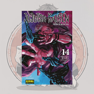 Jujutsu Kaisen  14 - Norma Editorial