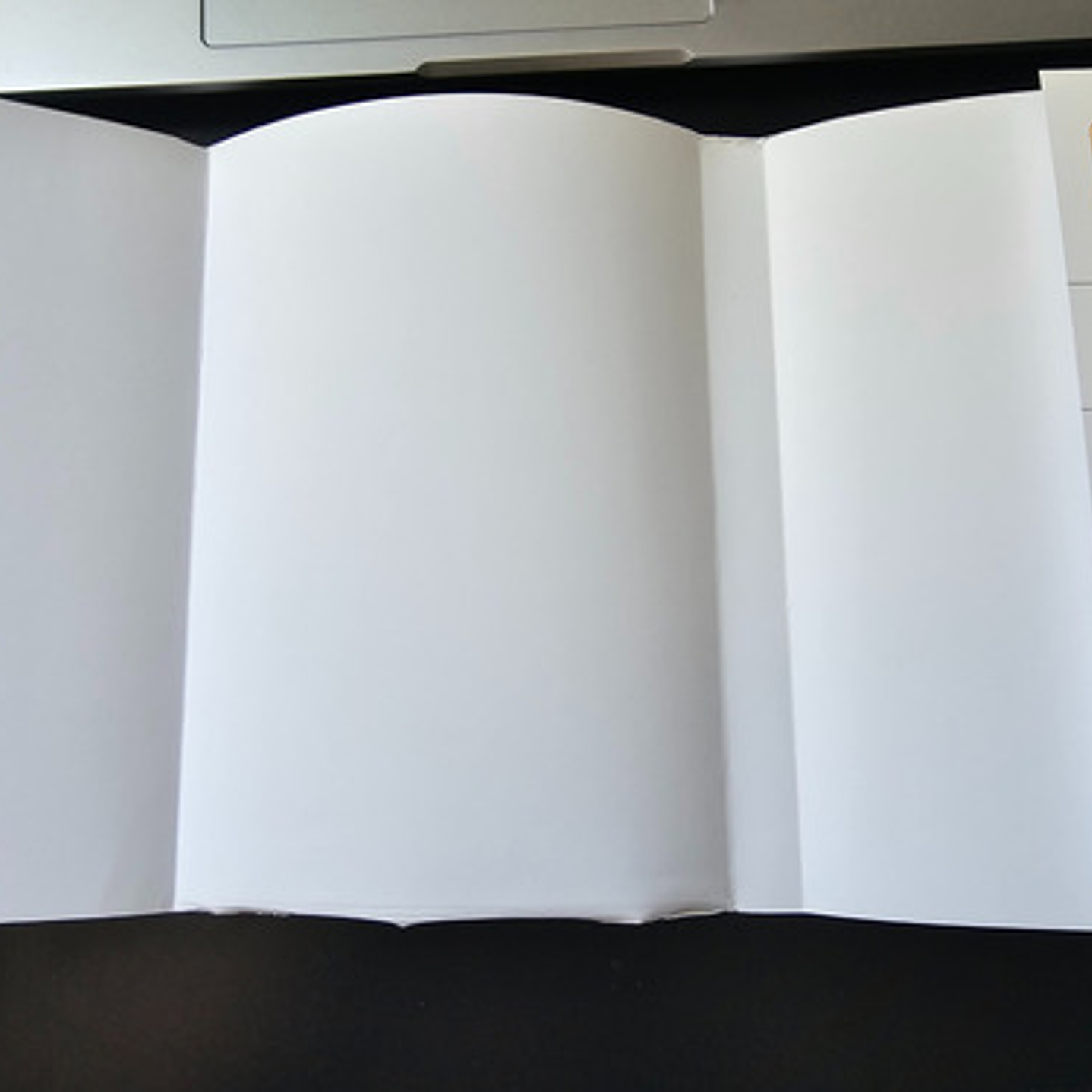 Twilight Con Detalle - Kodai - Bl 5