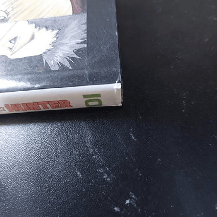 Hunter X Hunter 10 Con Detalle - Panini España 5