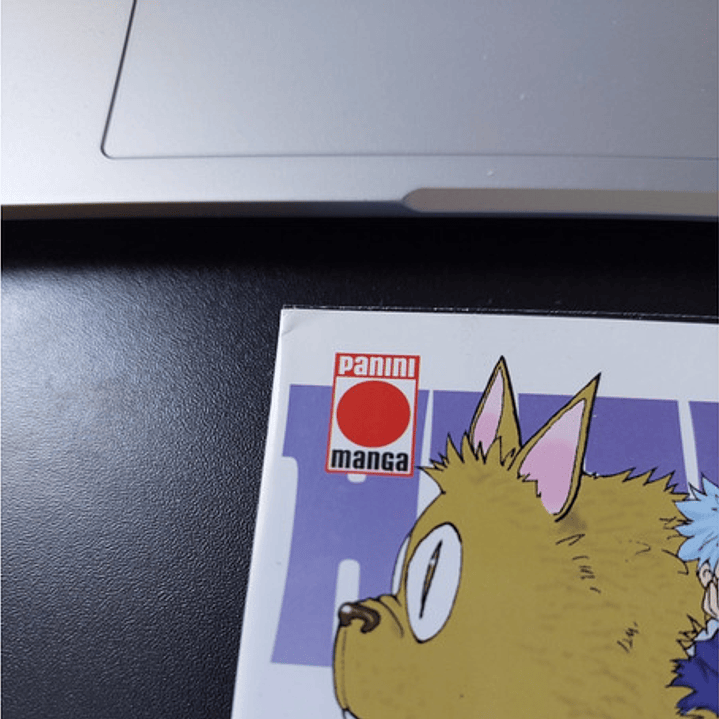 Hunter X Hunter 6 Con Detalle - Panini España 4