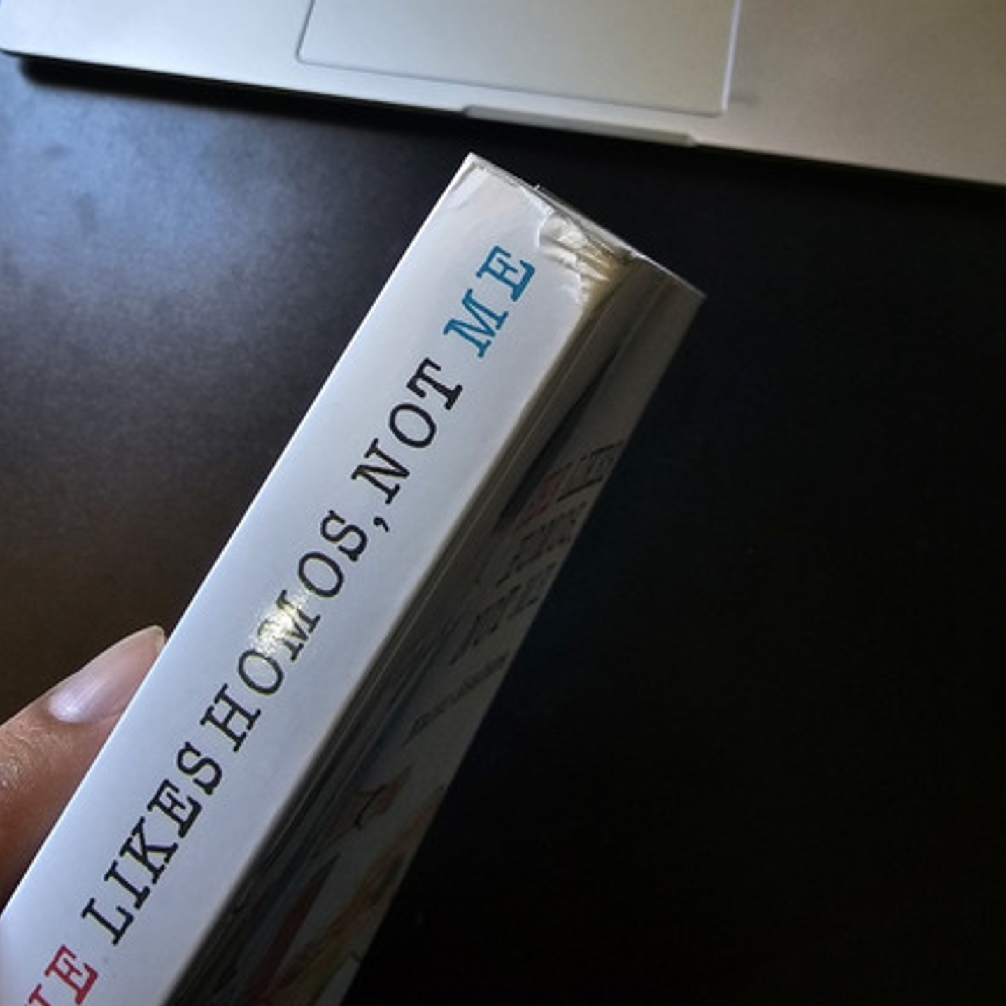 She Likes Homos, Not Me Con Detalle - Planea Comic - Novela 4