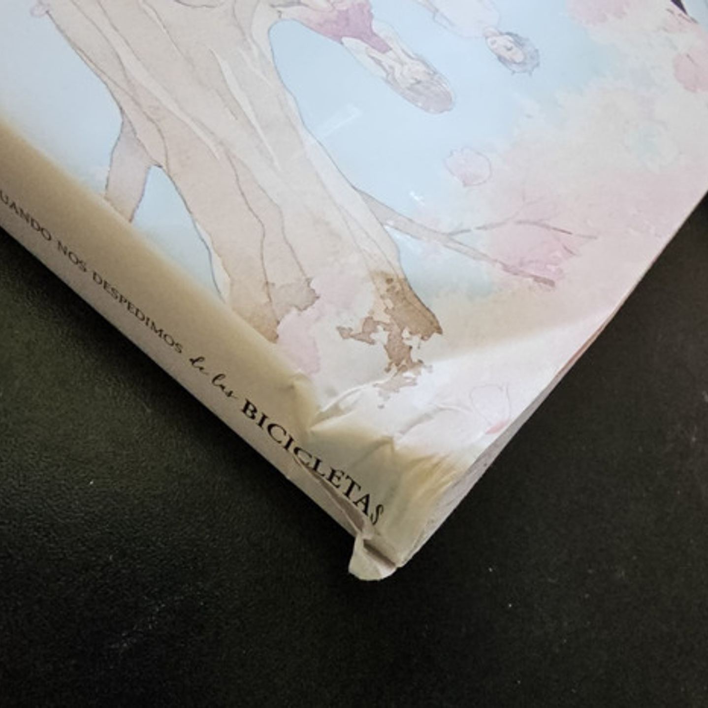 Cuando Nos Despedimos De Las Bicicletas 1 Con Detalle-arechi 3