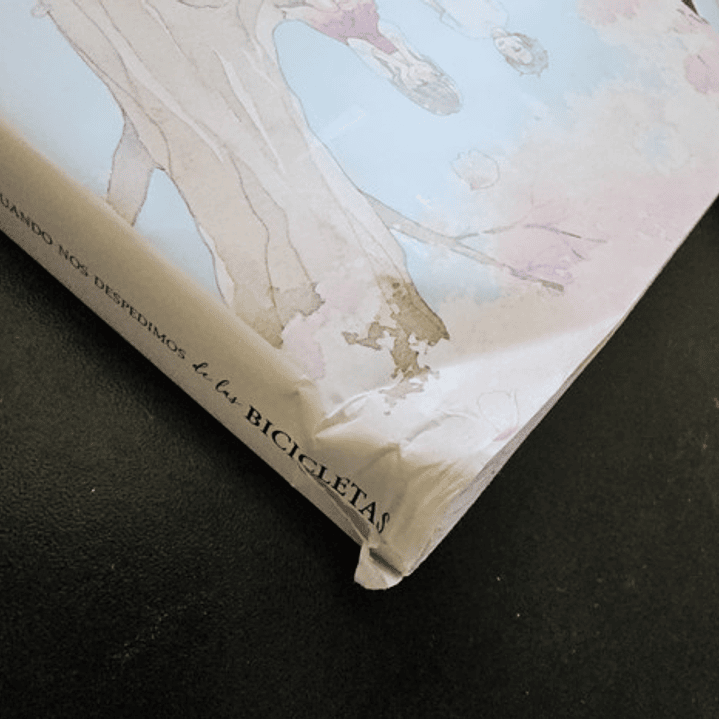 Cuando Nos Despedimos De Las Bicicletas 1 Con Detalle-arechi 3