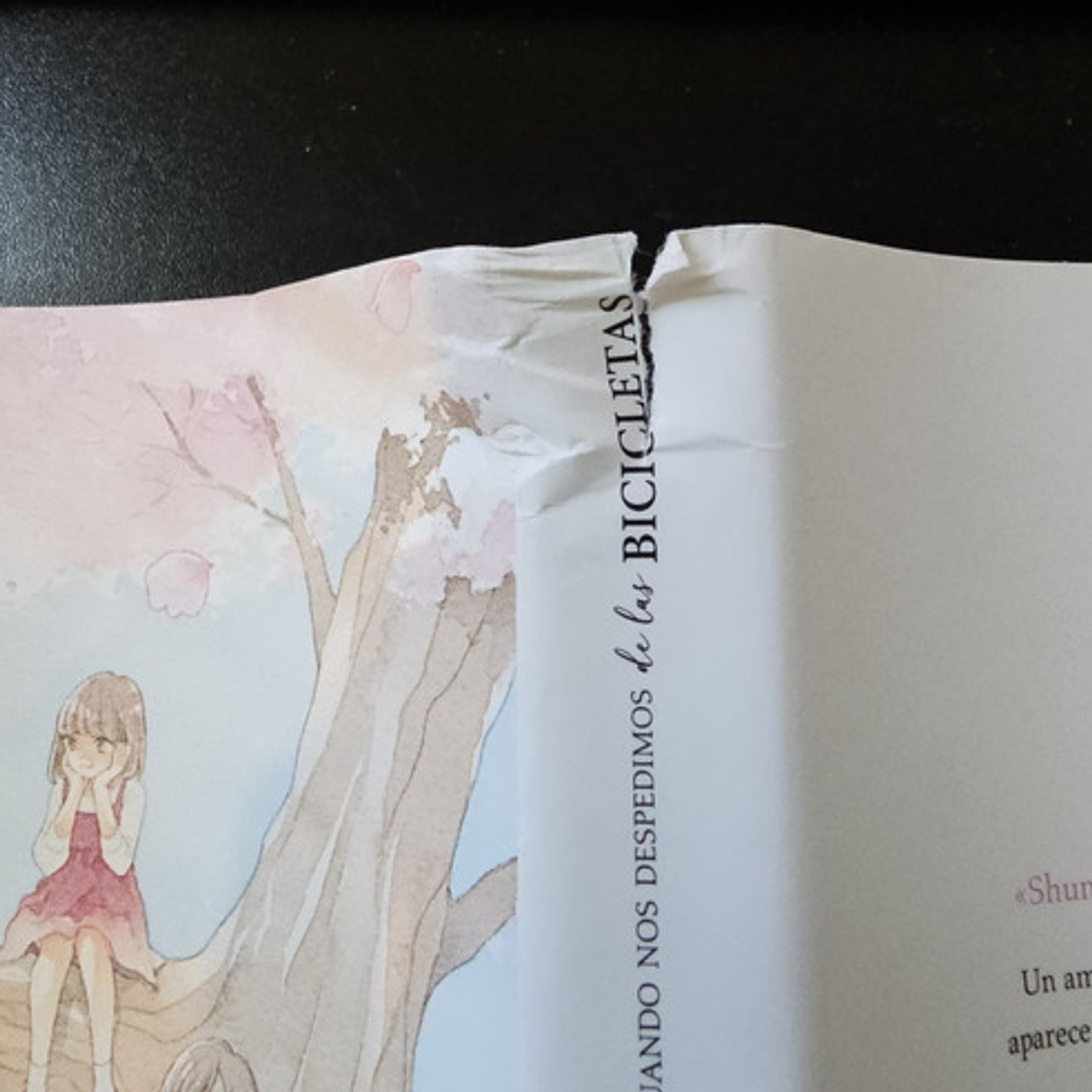 Cuando Nos Despedimos De Las Bicicletas 1 Con Detalle-arechi 4