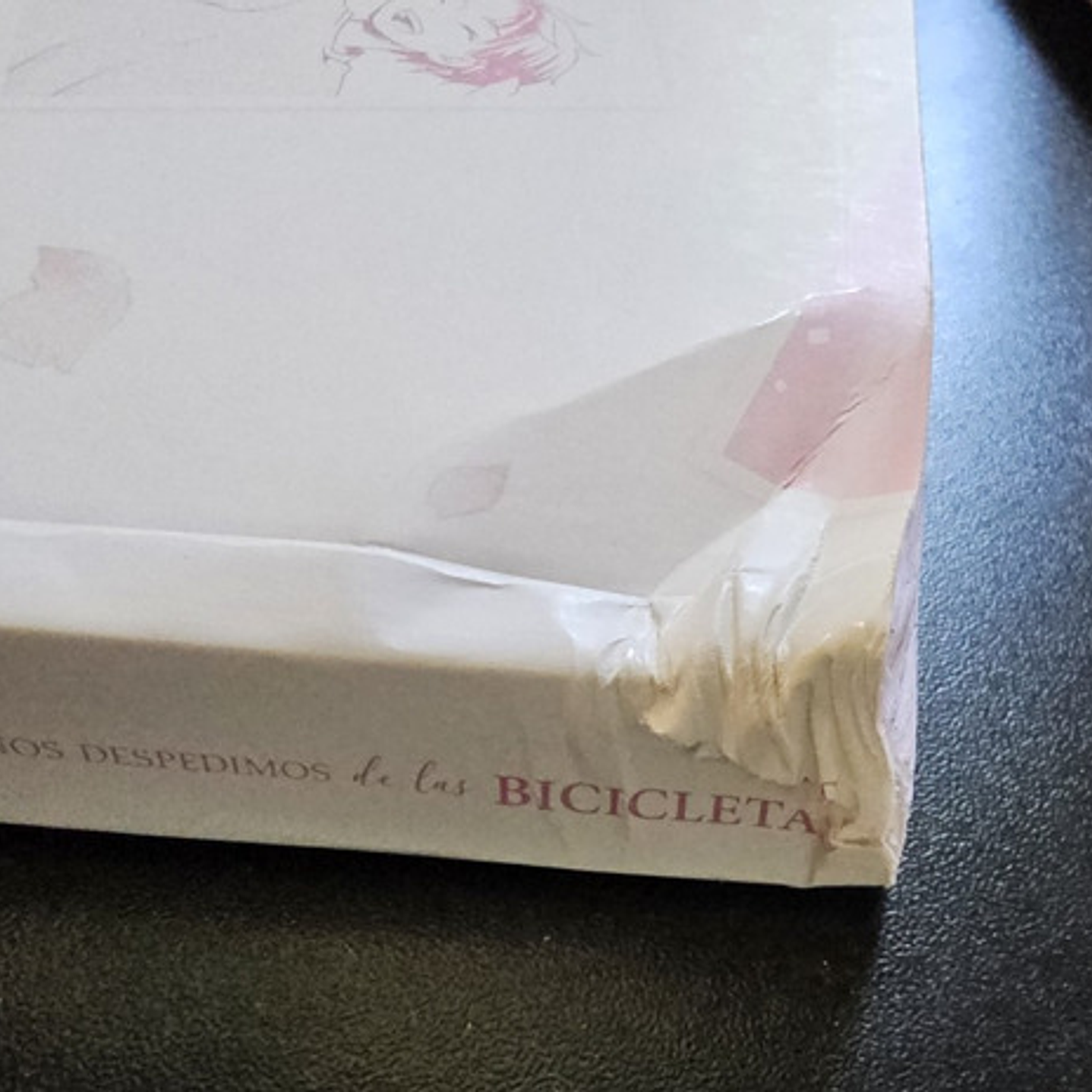 Cuando Nos Despedimos De Las Bicicletas 1 Con Detalle-arechi 5