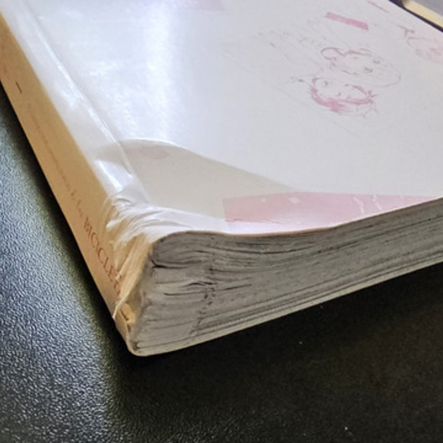 Cuando Nos Despedimos De Las Bicicletas 1 Con Detalle-arechi 6