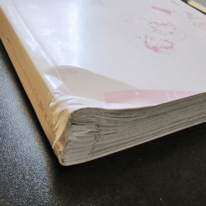 Cuando Nos Despedimos De Las Bicicletas 1 Con Detalle-arechi 6