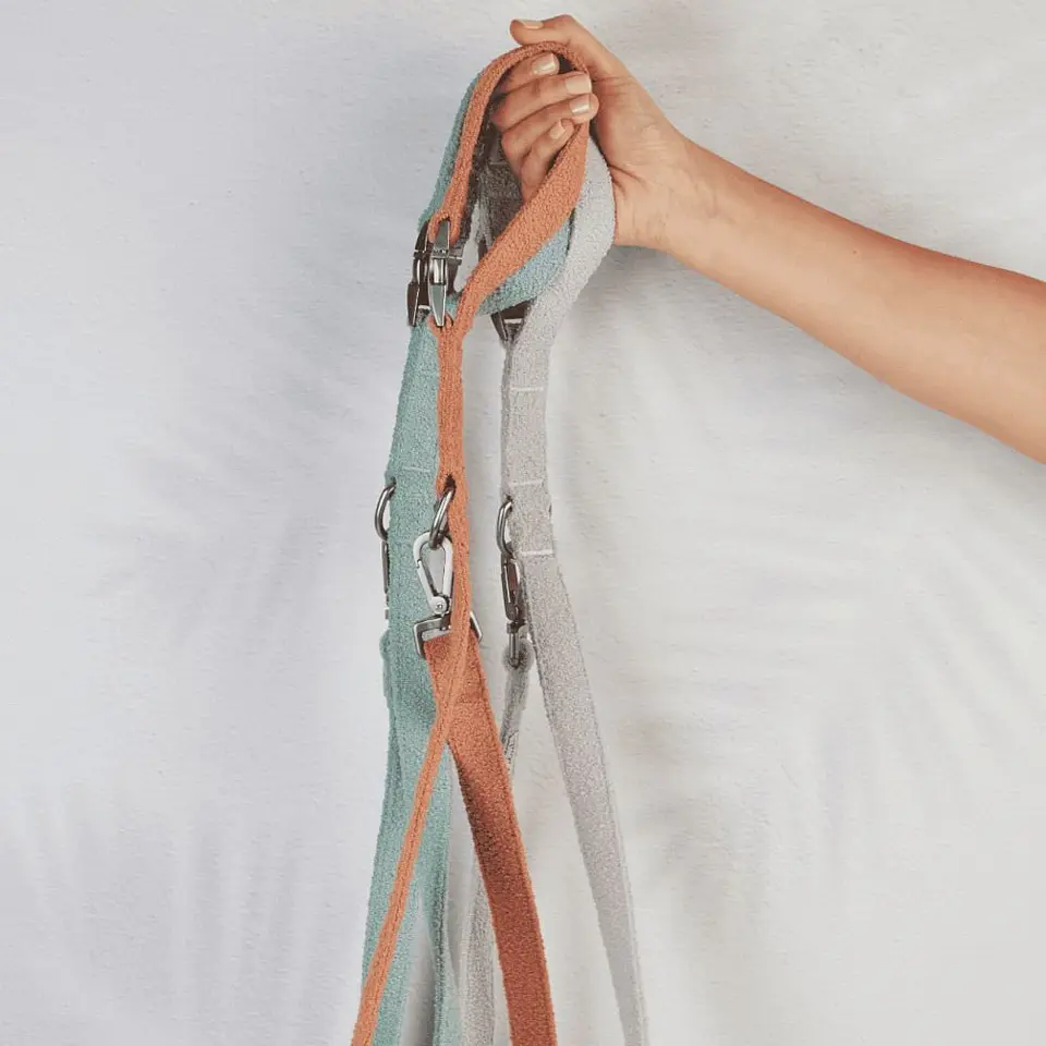 leashes 7