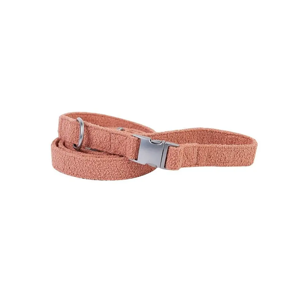leashes 9