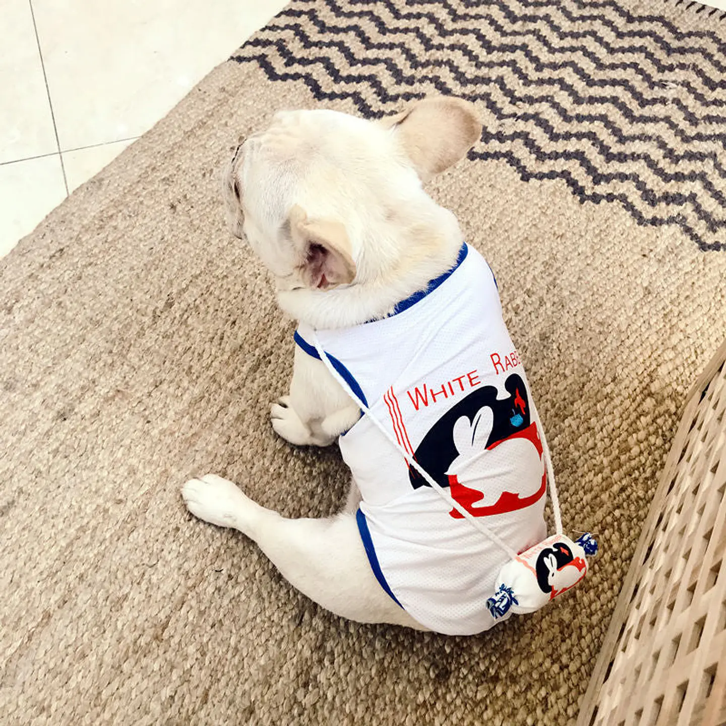 Different Brands Funny Pets Costume 1