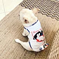 Different Brands Funny Pets Costume - Miniatura 1