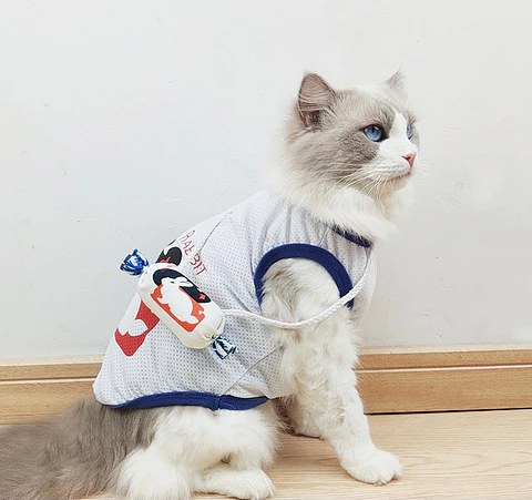 Different Brands Funny Pets Costume