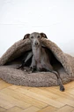 Natural Wool Pet Cave - Beige - Miniatura 2