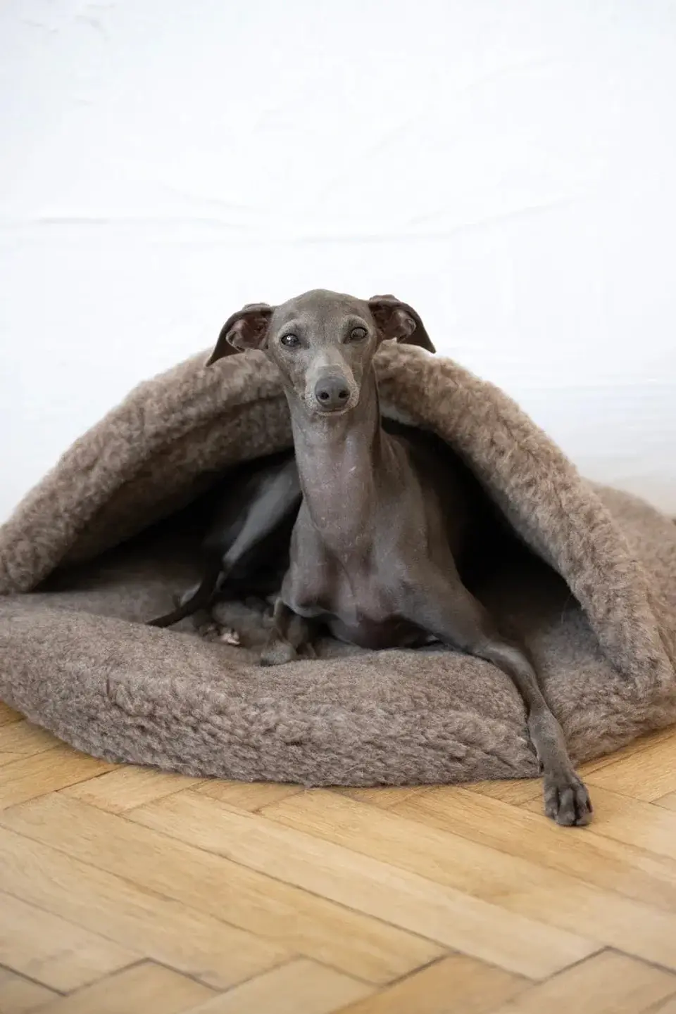 Natural Wool Pet Cave - Beige 2