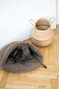 Natural Wool Pet Cave - Beige - Miniatura 3