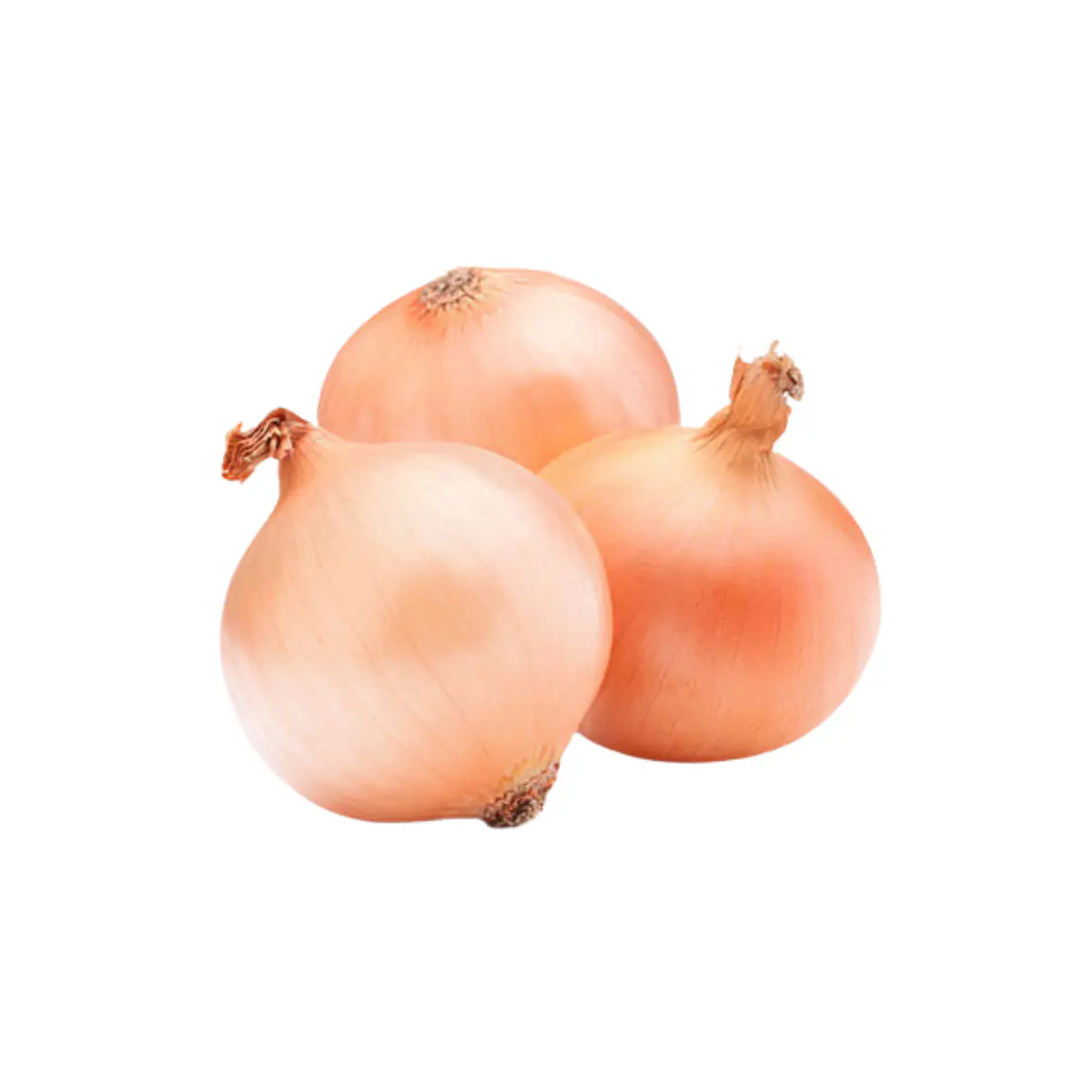 Cebolla Valenciana
