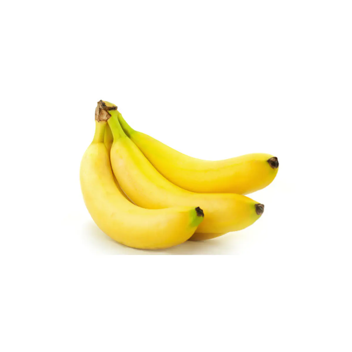 Platano KG
